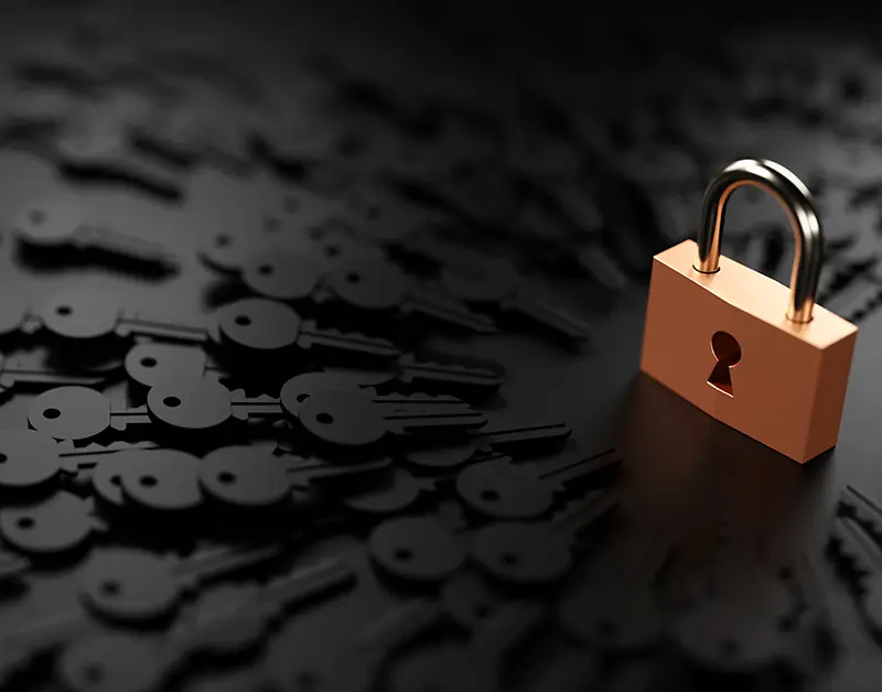 Database security is paramount at Xynomix