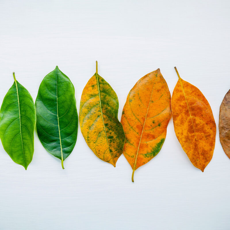 SQL Server 2016 end of product lifecycle